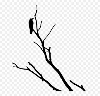 Crow Raven Silhouette Tree - Dead Tree Branch Clip Art