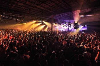 Crowd Loving Music