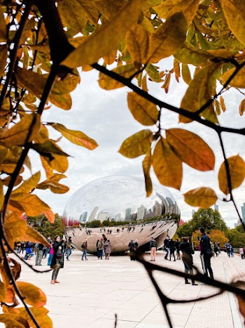 Crowd Walking Beside Cloudgate, Chicago