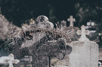 Crown of thorns