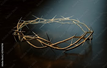 Crown Of Thorns