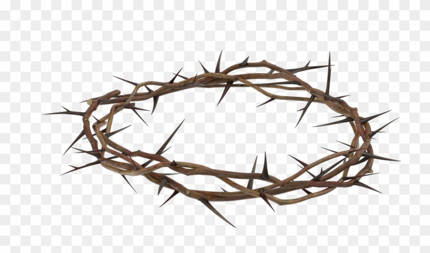 Crown Of Thorns