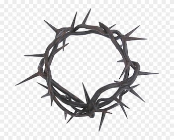 Crown Of Thorns Thorns, Spines, And Prickles Clip Art - Crown Of Thorns Thorns, Spines, And Prickles Clip Art