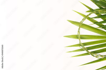 Crown of thorns with palm leaves on white background ,Easter concept