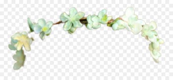 Crown Portable Network Graphics Clip art Flower Image - crown 