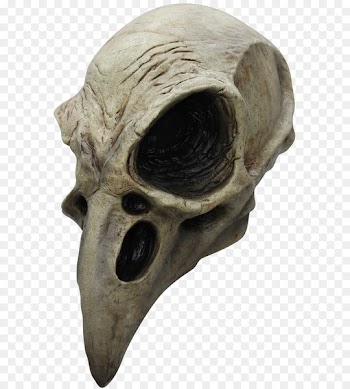 Crows Bird Skull Mask Halloween costume - Bird 