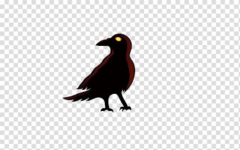 Crows Halloween Jack-o-lantern Scarecrow, crow transparent background PNG clipart
