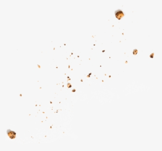 Crumbs PNG & Download Transparent Crumbs PNG Images for Free - NicePNG