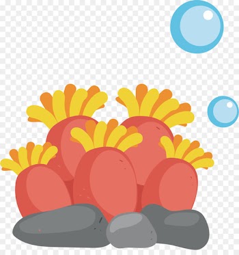 Crxe9teil Cartoon Clip art - Vector map coral 