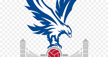 Crystal Palace F.C. Crystal Palace L.F.C. FA Cup Selhurst Park Football - basketbal pennant 