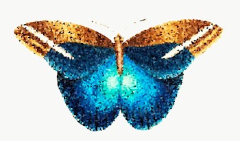 Crystallized butterfly sticker overlay | Free  transparent png - 2350654