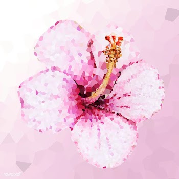 Crystallized hibiscus flower illustration | Free  illustration - 2350656