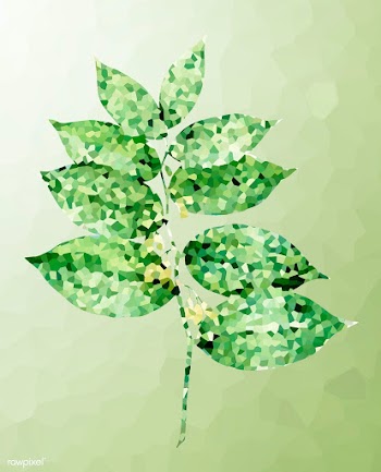 Crystallized polygonatum flower illustration | Free  illustration - 2350669
