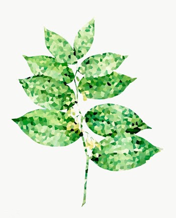 Crystallized polygonatum flower sticker overlay | Free  transparent png - 2350641