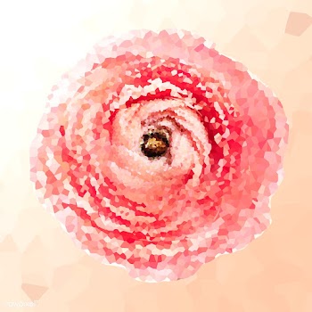 Crystallized ranunculus flower illustration | Free  illustration - 2350754