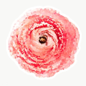 Crystallized ranunculus sticker overlay with a white border | Free  transparent png - 2350686