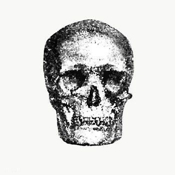 Crystallized skull sticker overlay | Free  transparent png - 2350643