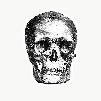 Crystallized skull sticker overlay with a white border | Free  transparent png - 2350711