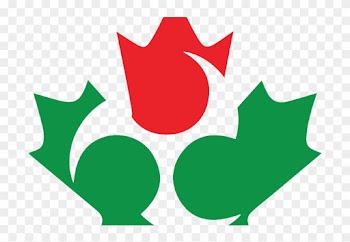 Ct Just Maple Leaf Transparent Background - Canada