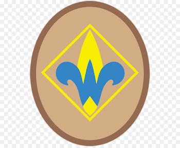 Cub Scout Scouting Boy Scouts of America Scout troop Scout leader - Cub Scouting 