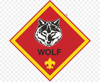 Cub Scouting Ranks in the Boy Scouts of America - scout 