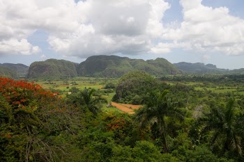 Cuba Vinales Nature