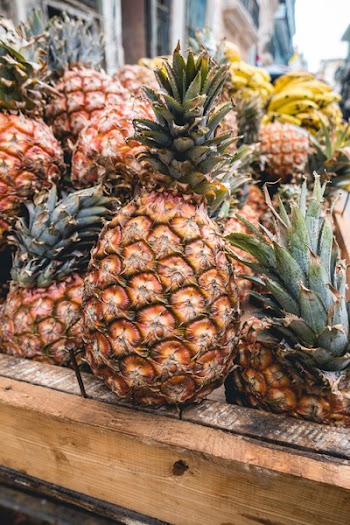 Cuban fresh pineapples 