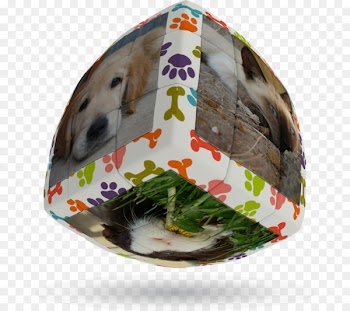 Cube Bikes Pet Animal Easter - play cube 