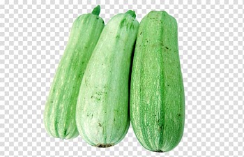 Cucumber Calabaza Vegetable Wax gourd, green vegetables transparent background PNG clipart