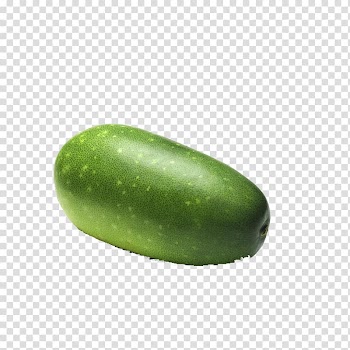 Cucumber Cantaloupe Wax gourd Melon Vegetable, Melon transparent background PNG clipart