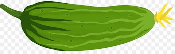 Cucumber Clip art Vector graphics Portable Network Graphics JPEG - cucumber 