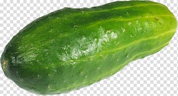 Cucumber , Cucumber transparent background PNG clipart