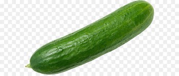 Cucumber Israeli salad Vegetable Fruit Food - Cucumber PNG 