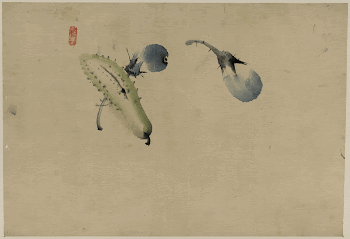 [Cucumber or squash and eggplant]. | Free Photo - rawpixel