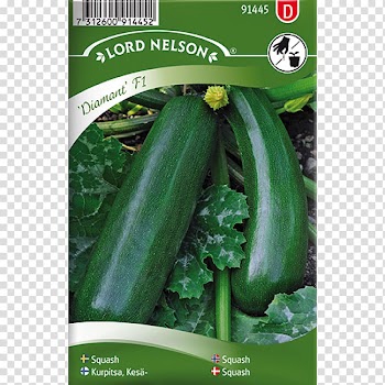 Cucumber Pumpkin Cucurbita pepo Zucchini Seed, Cucurbita Pepo transparent background PNG clipart