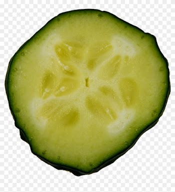 Cucumber Slice Png By Bunny With Camera - Portable Network Graphics