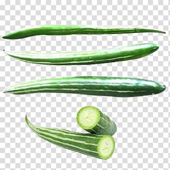 Cucumber Snake gourd Luffa Vegetable, cucumber transparent background PNG clipart
