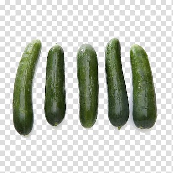 Cucumber Spreewald gherkins Vegetable Autumn, Organic autumn cucumber transparent background PNG clipart