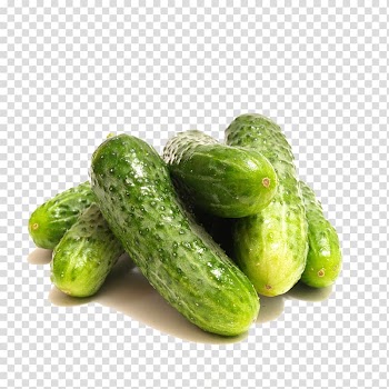 Cucumber Vegetable , Cucumber transparent background PNG clipart