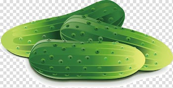Cucumber Vegetable Fruit Food, Green cucumber transparent background PNG clipart