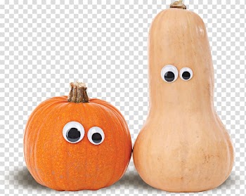 Cucurbita Butternut squash Pumpkin Squash soup Gourd, pumpkin transparent background PNG clipart