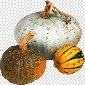 Cucurbita maxima Pumpkin Vegetable Winter squash Food, eggplant transparent background PNG clipart