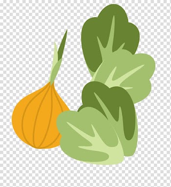 Cucurbita Napa cabbage Vegetable Garlic, Flat cabbage and garlic transparent background PNG clipart