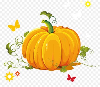 Cucurbita pepo Calabaza Pumpkin pie Clip art - Pumpkin cartoon illustration vector material 