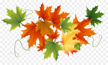 Cucurbita pepo Calabaza Pumpkin Thanksgiving Clip art - fall 