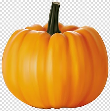 Cucurbita pepo Cucurbita maxima Pumpkin , pumpkin transparent background PNG clipart