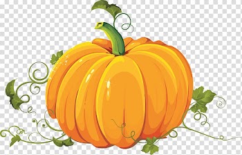 Cucurbita pepo Pumpkin pie Calabaza, pumpkin transparent background PNG clipart