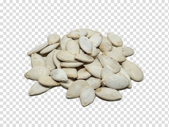 Cucurbita pepo Pumpkin seed Potassium Iron, pumpkin transparent background PNG clipart