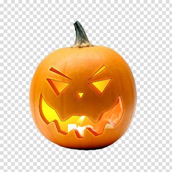 Cucurbita Pumpkin Calabaza Gourd Jack-o'-lantern, pumpkin transparent background PNG clipart