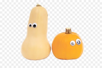 cucurbita squash butternut squash pear pear